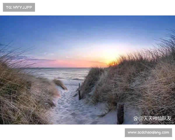 冬日湖畔宁静之旅如何在寒冷中寻找心灵的平静与温暖