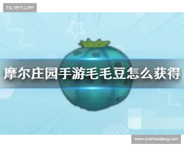 摩尔庄园毛毛豆快速找到攻略技巧及步骤解析