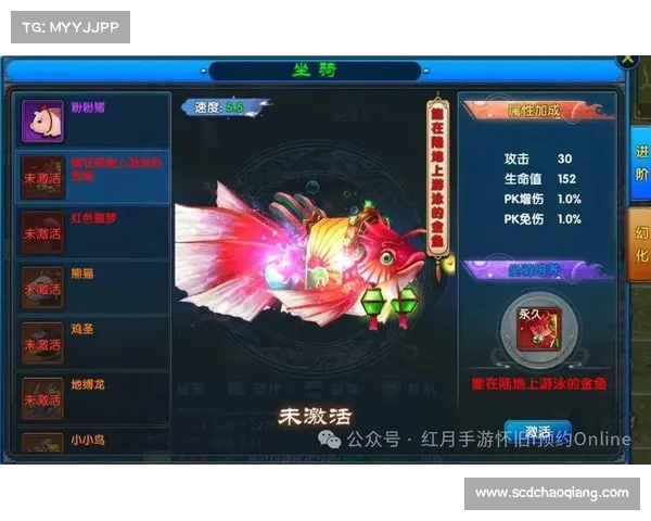 提升战力的五大养成技巧助你突破极限轻松超越对手